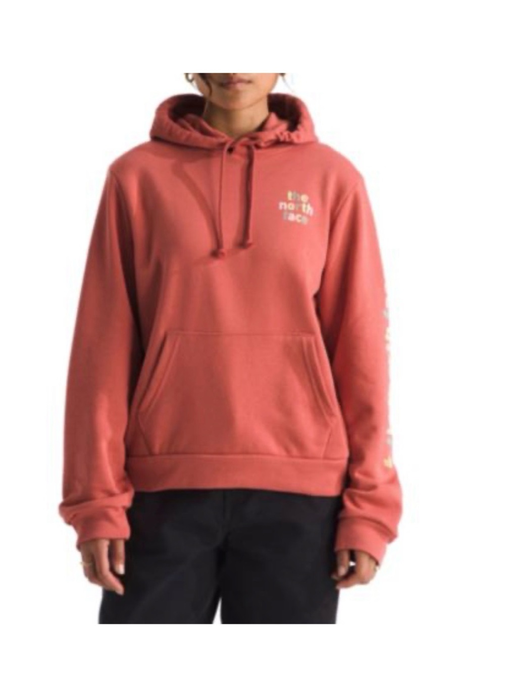 The North Face Evolution Proud Graphic Pullover Hoodie